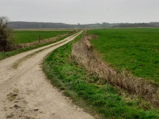 Neuer Wanderweg am Langsee in Süderfahrenstedt – Entschleunigung und Orientierung durch regional einheitliche Beschilderung