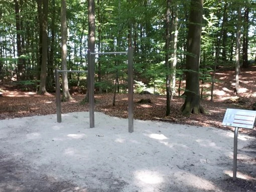 Einrichtung eines Naturlehrpfades / Trimm-Dich-Pfades im Wassermühlenholz