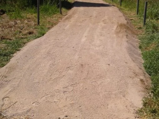 Errichtung eines Wanderweges – Zugang zum alten Ziegeleigelände Borgwedel