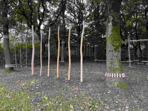 Aufstellung eines Niedrigseilparcours