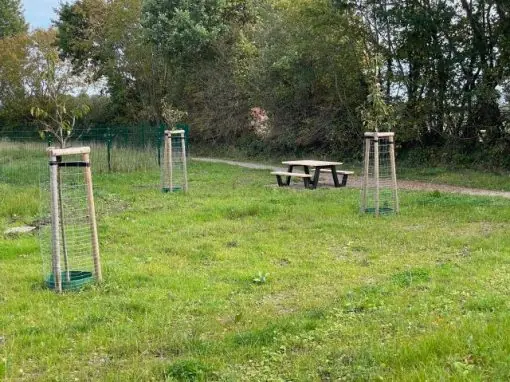 Ein Bürgerpark für Kronsgaard als Platz der generationsübergreifenden Begegnung